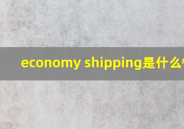 economy shipping是什么快递